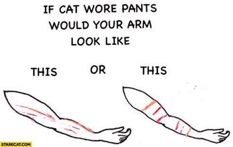 If Cat Wore Pants Would Your Arm Look Like This Or This Scratches