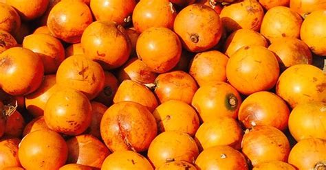 Amazing Benefits Of The Seasonal Fruit African Star Apple Pulse Nigeria