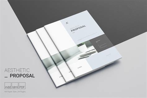 Aesthetic Proposal Template ~ Brochure Templates ~ Creative Market