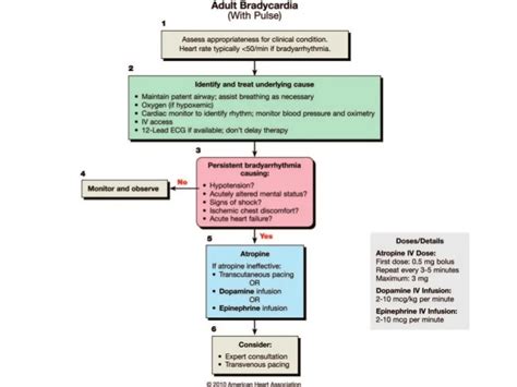 Aha Guidelines For Hypotension Dopamine