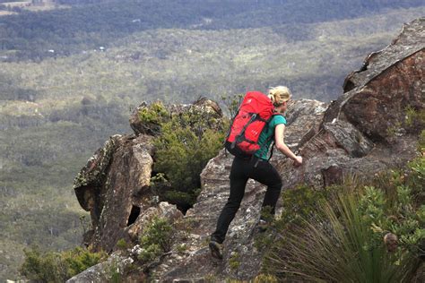 Check spelling or type a new query. Australia to impose 'backpackers tax' | London Evening ...