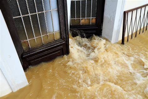 10 Essential Products For Cleaning Up After A Flood Advice From Bob Vila