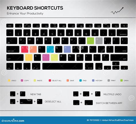 Computer Keyboard Infographic Shortcuts Vector Stock Vector