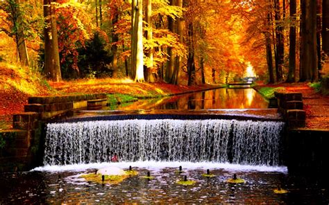 Pin by Людмила ПЛИС on WATERFALLS | Autumn waterfalls, Waterfall ...