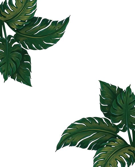 Daun Png Vector Images Imagesee