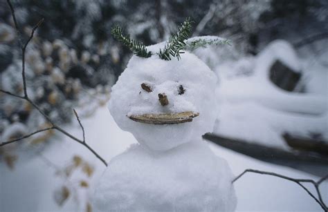 A Smiling Snowman With Twig Arms Photograph By Bill Curtsinger