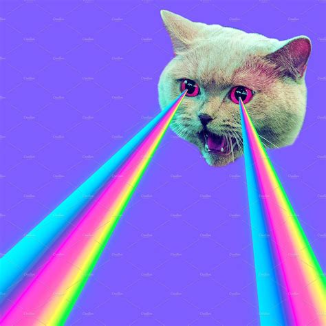 Cat Laser Pewpew Gif Cat Laser Pewpew Anime Descubre Comparte Gifs My