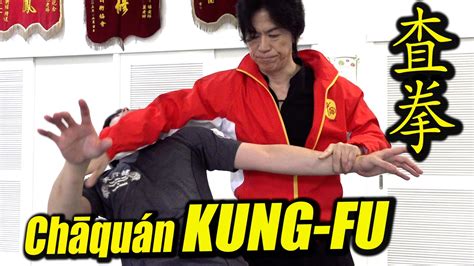 【kung Fu】hidden Techniques Of Chāquán Cun Jinliao Yin Zhang