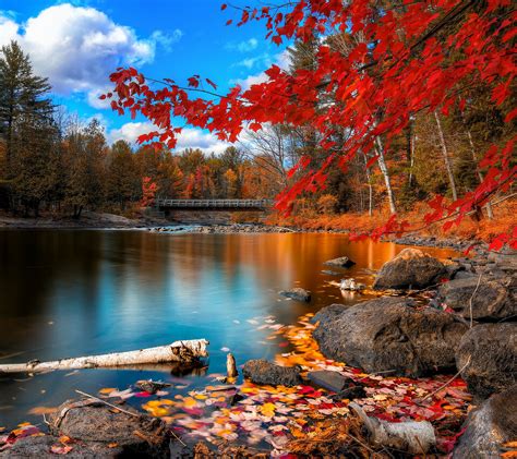 Beautiful Autumn Color Red Leaves And Wonderful Lake