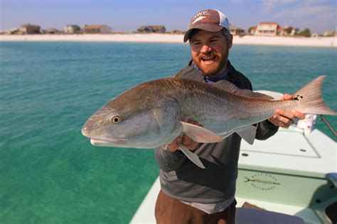 Panama City And Destin Florida Beach Fishing Pictures Swe
