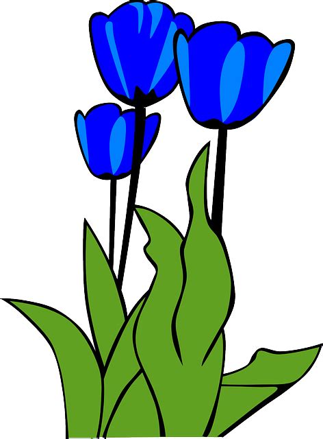 Tulips Flowers Plant · Free Vector Graphic On Pixabay