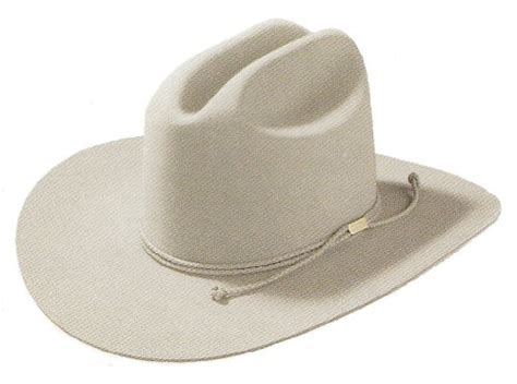 Stetson Cowboy Hat 6x Beaver Fur Felt Silverbelly Carson
