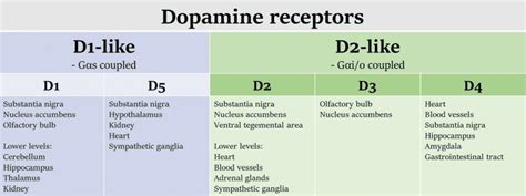 Dopamine Receptor And Cancer Musechem