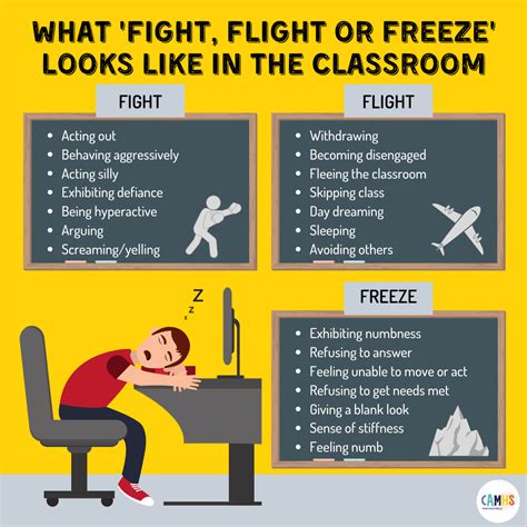 What ‘fight Flight Or Freeze’ Looks Like In The Classroom Camhs Professionals