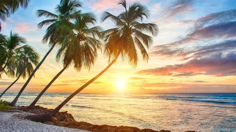 tropical wallpapers sunset tropical island background 3840x2160 download hd wallpaper