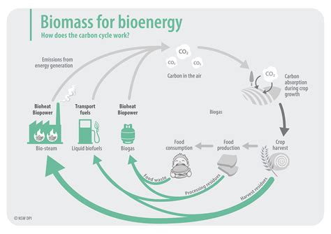 Biomass For Bioenergy Project