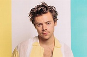 Harry Styles: hoy inicia venta de entradas de su show en Lima