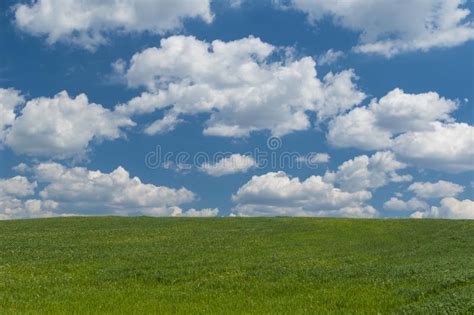 Landscape With Green Meadow And Clouds On The Light Blue Sky Stock
