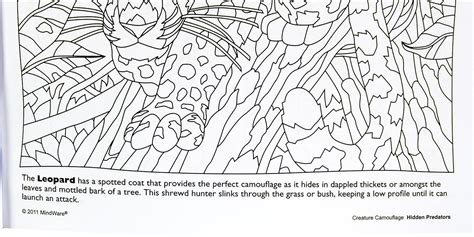 Hidden Animal Camouflage Coloring Pages Printable Top 10 Jungle