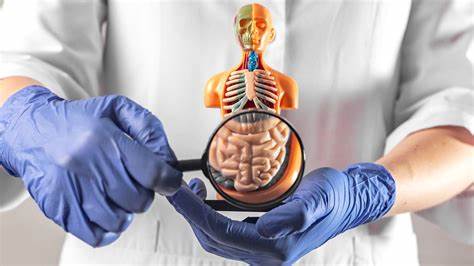 Энтероколит хронический диета Энтероколит - диагностика и лечение в 100med Энтероколит - диагностика и лечение в 100med Энтероколит хронический диета