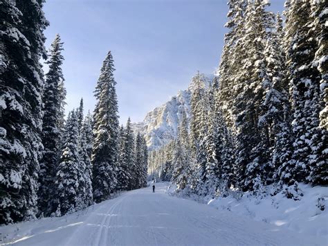 Xc Skiing Moraine Lake Road In Banff National Park Perfect For