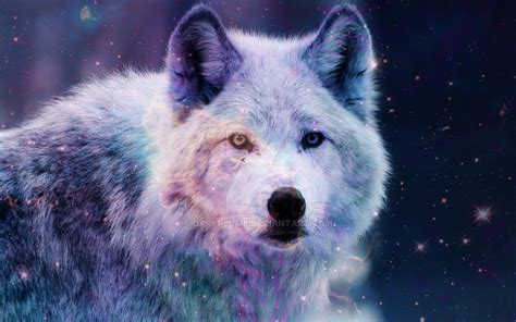 Ouf 43 Raisons Pour Galaxy Wolf 3 D Hintergrundbilder Galaxy Wolf By