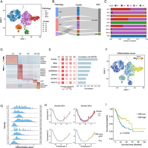 Dissecting Transcriptional Heterogeneity In Primary Gastric