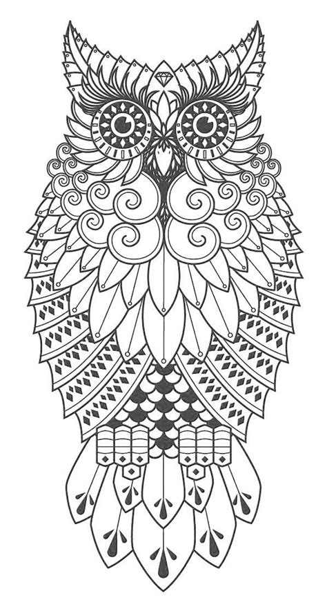 17 Best Images About Owl Coloring Pages For Adults On Pinterest
