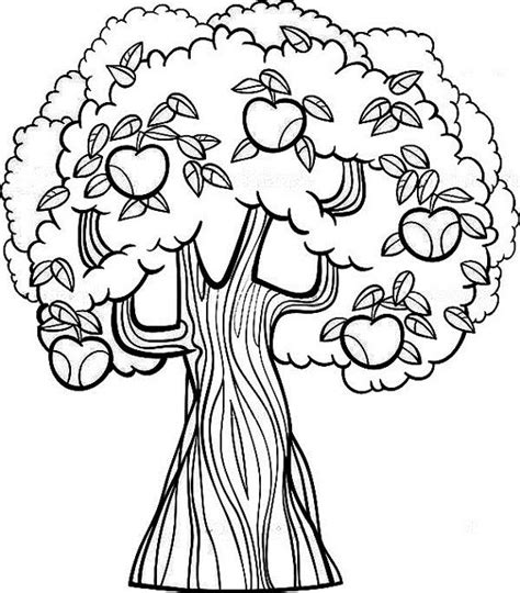 Download fruit tree coloring page | Food | Pinterest | Fruit trees