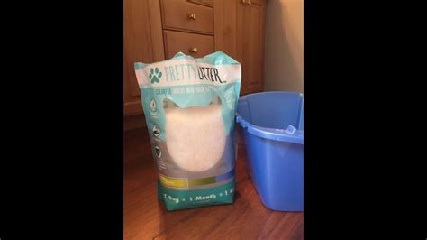 Smart Kitty Litter That Monitors Your Cats Health Pretty Litter