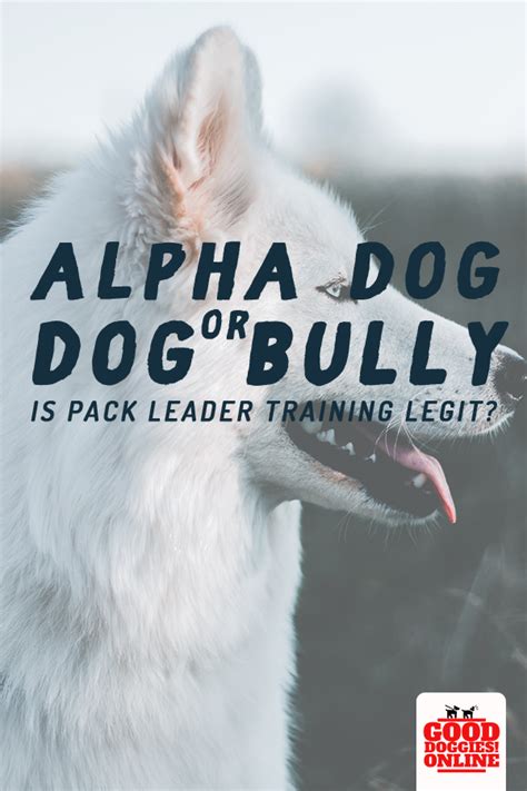 Is Pack Leader Training Legit Myth Vs Reality Good Doggies Online