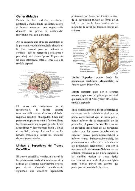 Tronco Encefálico Experiencia Médica uDocz