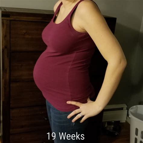 19 Weeks Pregnant With Twins Belly Pregnantbelly