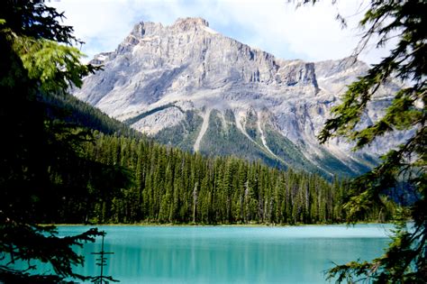 The Beautiful Scenery Of Emerald Lake Bc Canada Oc 4488x2984 R