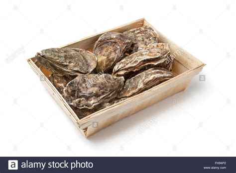 Oysters Shell Shells Hi Res Stock Photography And Images Alamy
