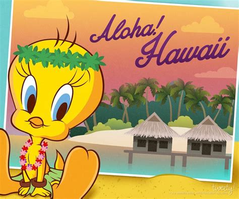 Aloha Hawaii Animated Cartoons Funny Cartoons Cartoons Comics Tweety Bird Quotes Little