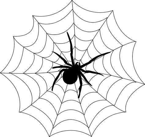 Spider Web Transparent Png Stickpng Images