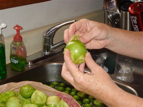 Jodys Re Creations Making And Pressure Canning Tomatillo Salsa