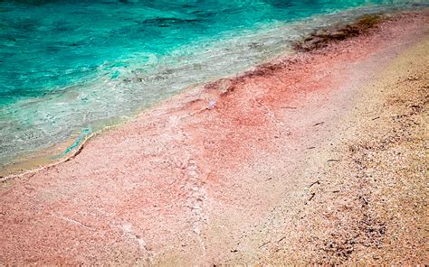 Pink Balos Beach Crete A Complete Guide Daily Travel Pill