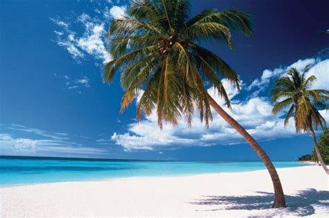 The Dominican Republics 10 Best Beaches