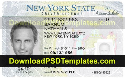 New York Driving License Psd File Download Editable
