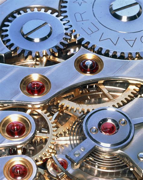 Internal Cogs And Gears Of A 17 Jewel Swiss Watch Photograph By David