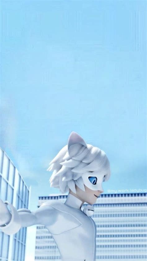 Miraculous Cat Blanc Wallpaper Cr Myworkladybug On Instagram