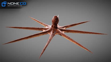3d animated octopus v2 download and buy 3d profestionnal models on