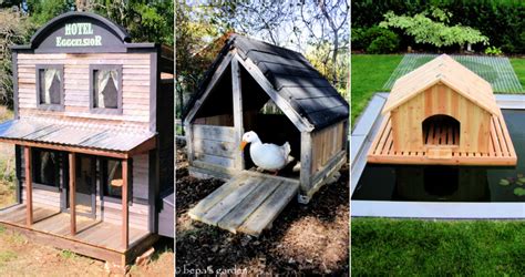 But, with the proper setup, duck plan your runs here. 22 Free DIY Duck House Plans with Detailed Instructions