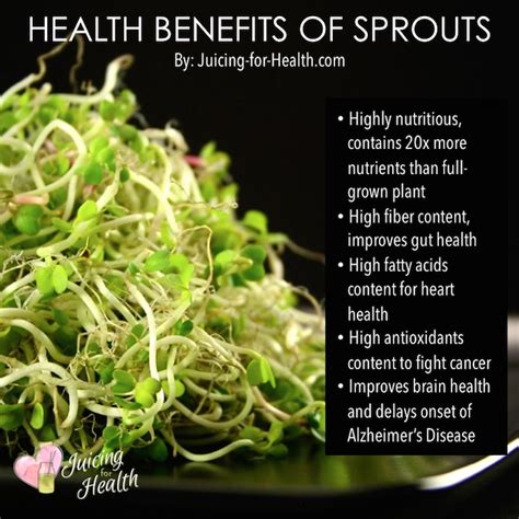 In fact, sprouts are also known as energy giving foods. Health Benefits of Bean Sprouts, Nutritional Facts And ...