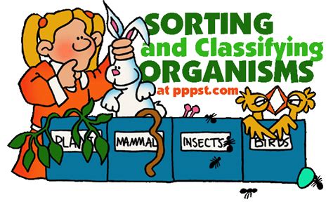 Classification And Sorting Organisms Free Presentations In Powerpoint