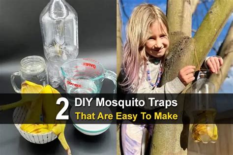 2 Diy Mosquito Traps That Are Easy To Make Homestead Survival Site