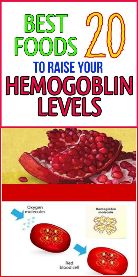 Best 20 Foods To Increase Your Hemoglobin Levels Today Mag