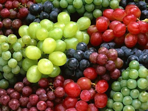 Easy Healthy Tips Health Benefits Of Grapes